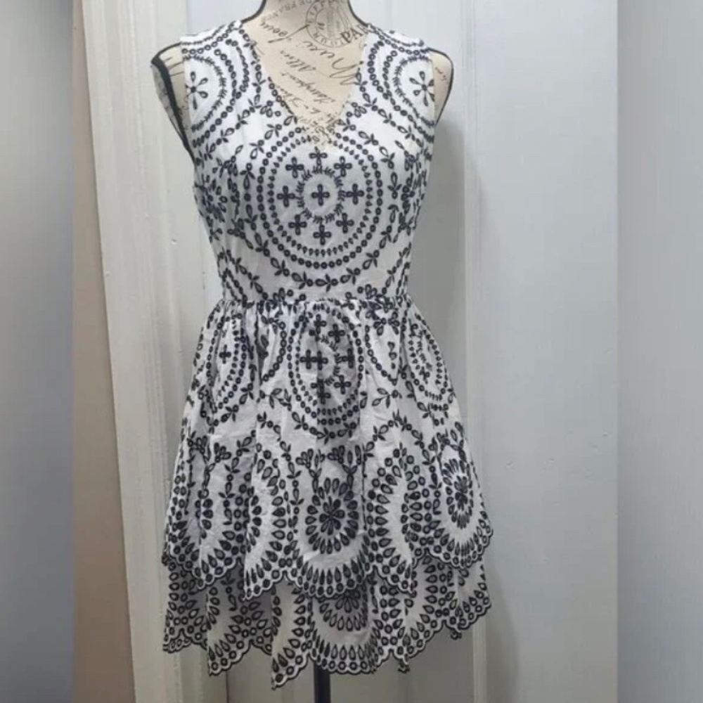 Embroidered Lace Dress /Tiered Fit And Flare Dress By Express Size XS Petite